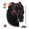 4R Quattroerre.it Quattroerre 8067 Adesivi Sticker Cane Corso, 14 x 16 cm