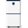 Argo Dry Pury EVO 13 - Deumidificatore da 13 litri/24h, Tanica 2 litri, Bianco