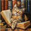 Bowetile Diamond Painting Kit Completo Gatto e Libro, Pittura 5D Diamante Halloween Fai da Te per Adulti , Principianti con Strass Ricamo a Punto Croce, Decorazione Casa e Pareti 30x30 cm
