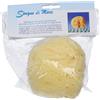 Biemmefarma Snc Spugna Mare Naturale Extralarge
