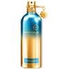 Montale Herbal Aquatica Eau de Parfum 100 ml