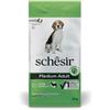 Schesir dog maintenance medium adult agnello 12kg