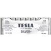TESLA SILVER - Batterie alcaline AA (LR06, a matita, Shrink), 10 pezzi