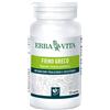 ERBA VITA GROUP SpA FIENO GRECO 125 Tav.400mg EBV