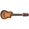 Ibanez AUP10NOLB