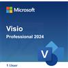 Microsoft Co Microsoft Visio Professional 2024