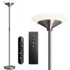 BBHome Piantana Lampada da Terra Dimmerabile, 27W LED con Telecomando e Touch, 3000K-6500K Temperatura colore per Soggiorno, Camera da Letto, Ufficio, Argento