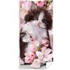 damaloo Asciugamano da bagno con gatto 70 x 140 cm, in cotone, asciugamano rosa con motivo di gatti, per gli appassionati di gatti, per ragazze e donne, asciugamano da doccia con motivo gatti,