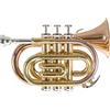 GEWA Roy Benson Bb pocket trumpet PT-101G (con campana in ottone dorato, dimensioni compatte per un suono professionale, incluso astuccio rettangolare e set di zaini)