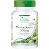 fairvital Melone amaro, 120 capsule, con 500 mg di estratto di melone amaro e 20 µg di cromo per capsula, ALTO DOSAGGIO, VEGANO, con il 10% di charantina