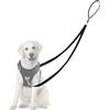 Adiwo 2M Guinzaglio Addestramento per Cani, Riflettente, Lunghina Da Cane in Nylon, Guinzaglio Multifunzione, Guinzaglio Doppio Freestyle per Cani Di Piccola e Media Taglia(Nero)