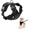 Ferizzia Pettorina per Gatti, Pettorine Gatto Regolabile, Pettorina Gatto Antifuga con Guinzaglio Chat, per Cucciolo, Gattini e Chat Piccolo, Pettorine per Passeggio e Corsa, Nero, XS