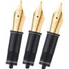 Asvine 3 pz penna stilografica sostituita, 6 pennini EF/F/Medium placcati oro V169, P20, P30 e V126, NON adatti P36