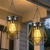 Liuyife 2 Pezzi Lanterne Solari da Esterno, Lanterna da Giardino in Metallo con Lampadine LED, Lanterna a LED con Gancio e Catena Auto ON/OFF, IP65 Impermeabile, per Terrazza Patio Balcone Decorazione