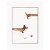 MADO Poster Doug the Dachshund -