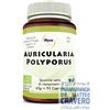 Mycovital Mix 327 Auricolaria E Polyporus 93 Capsule