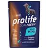 Generico Prolife Umido Cane Dualfresh Adult Salmone e Merluzzo, alimento completo per cani adulti di tutte le taglie,gusto Salmone e Merluzzo | 12 bustine da 100 grammi l'una.