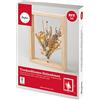 Rayher Kit cornice legno fiori secchi, FSC 100%, 17x4x22cm, rettangolare, box, 85485000