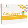 Gastromaal + 20 tavolette