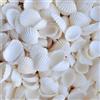 AHEJIOO 150 Pezzi Conchiglie Decorative, Conchiglie Marine Bianche da 2,5-3 CM per Artigianato, Conchiglia di Mare Bianche Naturali, Conchiglie di Cocco Bianche per Decorazioni Artigianali DIY