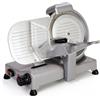 RGV Affettatrice elettrica AF 250 F, lama 25 cm, 140W, acciaio inox