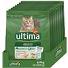 Ultima Adult Salmone - Crocchette per gatti - Confezione da 8 x 800g - Totale 6,4kg