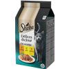 Sheba Delice Du Jour Tacchino Pollo e Pollame in Gelatina 6x50g