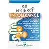 Prodeco Pharma Srl Gse Entero Intolerance 20 Stickpack 36 g Polvere per soluzione orale