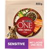PURINA ONE Mini/Small Delicate cibo secco per cani di piccola taglia, ricco di salmone e riso, confezione da 8 (8 x 800 g)