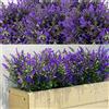 WILLBOND 12 Pacchetti Cespugli di Lavanda Artificiale Falsi Fiori Lavanda Verdura Artificiale Piante Resistente UV per Arrangiamento Floreale Centro Tavolo (Viola)