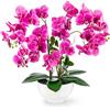 PASCH Orchidea artificiale XXL, grande (56 cm), in vaso di ceramica lucida, orchidee artificiali, fiori artificiali come veri, orchidee artificiali in vaso, fiori artificiali in vaso (rosa)
