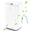 JERVAMNI Deumidificatore 12L/24H, Deumidificatore Casa Muffa Portatile per Asciugatura Biancheria, Silenzioso, Modalità Auto/Asciugatura/Sleep, Display Umidità, Timer, Scarico Continuo, per Bagno Cantina