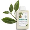 KLORANE (Pierre Fabre It. SpA) Klorane Shampoo Ristrutturante al Burro di Cupuaçu Bio