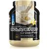 MOLDES Srl Net Integratori Isolate Pro Grass Fed Vaniglia 700g