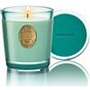 M&SENSE Candela Profumata 260g Eucalipto e Menta, 55H Dura, Cera di Soia Non Tossiche Candele, Vetro Autunnali Decor Casa, Regalo di Lusso per Donne/Compleanni/Natale