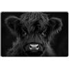 KitchenYeah© Set di Tovagliette Colazione Lavabili 6 Pezzi 45x30 cm Tovaglietta Americana in Plastica Colorata Antiscivolo Design Moderno Scottish Highlander - Nero - Vitello - Mucca