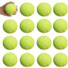 WANDGU 15 palline da tennis per il tempo libero, da tennis, senza pressione, per principianti, per lezioni di tennis, palline e cani