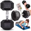 C.P. Sports Manubrio Esagonale gommato 1-80 kg - con Impugnatura ergonomica cromata, Manubrio, Set di manubri, Manubrio, Antiscivolo