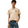 Tommy Jeans Uomo T-Shirt Maniche Corte Flag Tee Regular Fit, Bianco (Ecru), XS