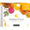 Zuccari Waterfirst Ananas Papaya Passion Fruit 12 Stick Pack