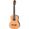 Walden Chitarra per concerti, top massiccio, finitura satinata, con custodia, modello speciale N430-S1W