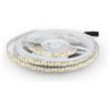 Brightium Striscia LED - striscia 5 m, 17 W/m, luce calda 3000K, IP20, ideale per illuminazione decorativa e ambienti interni. *