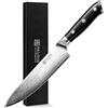 PAUDINColtello damascato, 20 cm, da cucina professionale, affilato con manico ergonomico G10, in acciaio damascato, per pesce, verdure, frutta, carne, pane, torte, formaggi