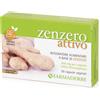FARMADERBE Srl Zenzero Attivo Farmaderbe 30 Capsule Vegetali