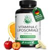 GREEN NATURALS Vitamina C liposomiale 1250mg - Importante: massima biodisponibilità e assorbimento - 180 capsule vegane a base di ciliegie di acerola - Green Naturals®