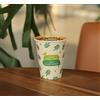 PG EcoAmour Bicchieri di carta di canna da zucchero, 240 ml, 50 pezzi, compostabili, biologici, ecologici e biodegradabili, in fibra vegetale
