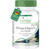 fairvital Capsule Omega-3 da 500 mg di olio di pesce, 90 softgel, facili da deglutire, ALTO DOSAGGIO, con EPA e DHA