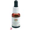 BUSH BIOTHERAPIES PTY LTD ALPINE MINT AUSTRALIAN GOCCE 15 ML