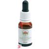 BUSH BIOTHERAPIES PTY LTD BOAB GOCCE 15 ML