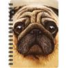 3D LiveLife Quaderno - Carlino di Deluxebase. Quadernino A6 Spiralato Lenticolare in 3D con Cagnolino, con fogli bianchi in carta riciclata. Opera d'arte del celebre artista David Penfound